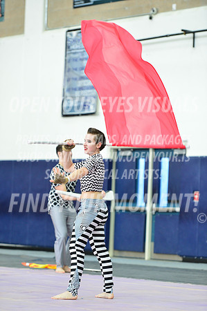 2019-WGI-Skyview-Rhapsody-121
