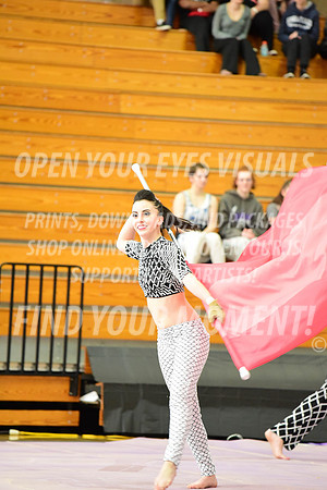 2019-WGI-Skyview-Rhapsody-123
