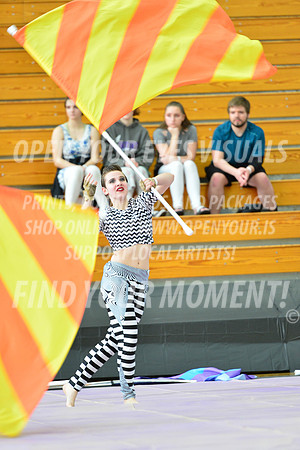2019-WGI-Skyview-Rhapsody-144