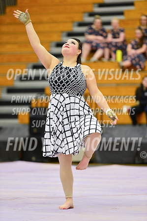 2019-WGI-Skyview-Rhapsody-162