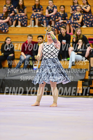 2019-WGI-Skyview-Rhapsody-166