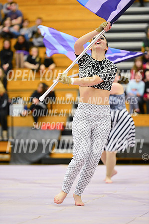 2019-WGI-Skyview-Rhapsody-187