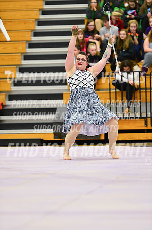2019-WGI-Skyview-Rhapsody-199