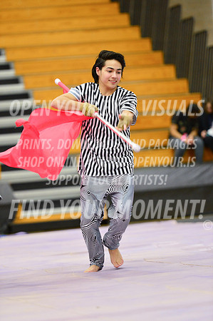 2019-WGI-Skyview-Rhapsody-208