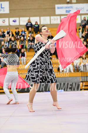 2019-WGI-Skyview-Rhapsody-210