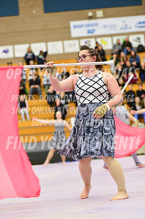 2019-WGI-Skyview-Rhapsody-216