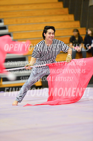 2019-WGI-Skyview-Rhapsody-217
