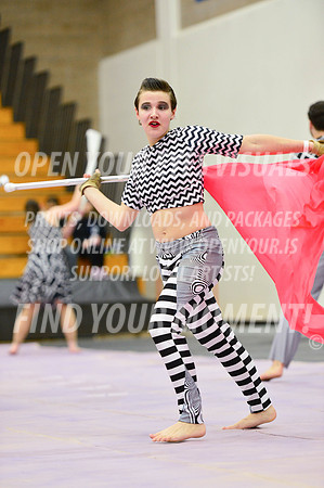 2019-WGI-Skyview-Rhapsody-221