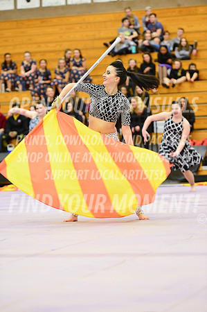 2019-WGI-Skyview-Rhapsody-233