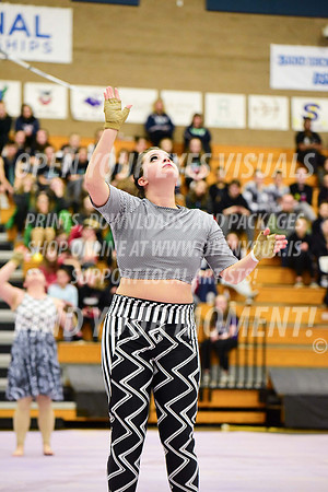 2019-WGI-Skyview-Rhapsody-241