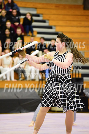 2019-WGI-Skyview-Rhapsody-243
