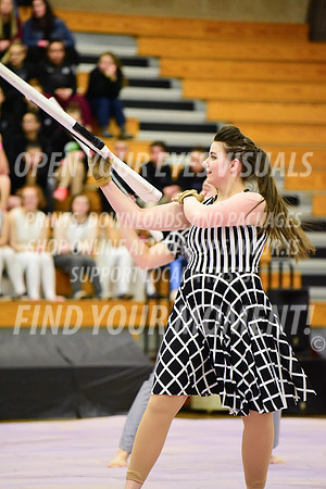 2019-WGI-Skyview-Rhapsody-244