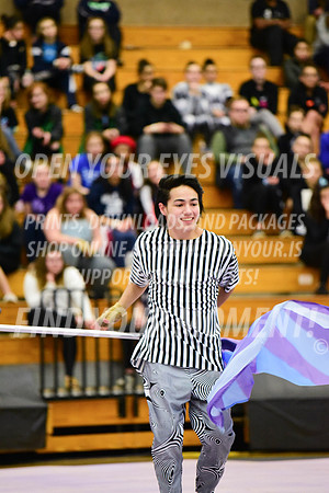 2019-WGI-Skyview-Rhapsody-253