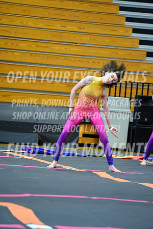 2019-WGI-Skyview-SherwoodHS-051