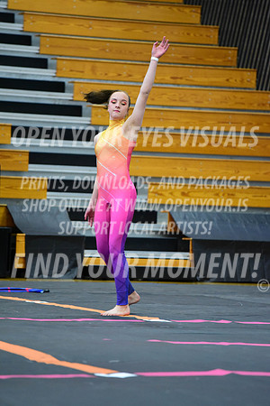 2019-WGI-Skyview-SherwoodHS-053