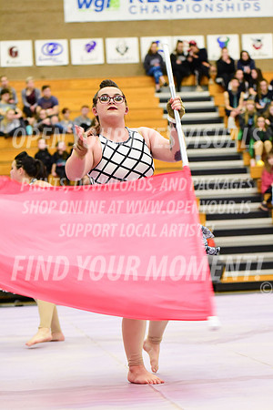 2019-WGI-Skyview-Rhapsody-271