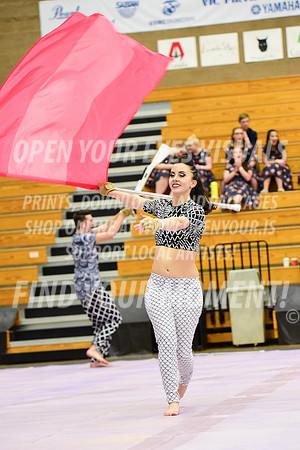 2019-WGI-Skyview-Rhapsody-277