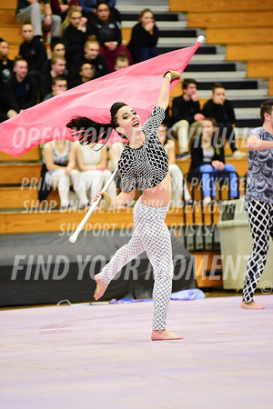 2019-WGI-Skyview-Rhapsody-284