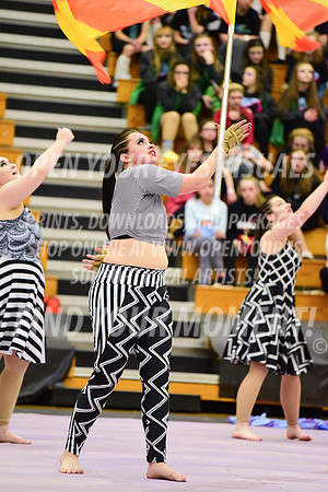 2019-WGI-Skyview-Rhapsody-299