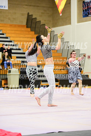 2019-WGI-Skyview-Rhapsody-303