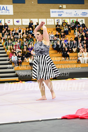 2019-WGI-Skyview-Rhapsody-309