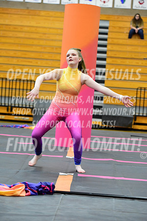 2019-WGI-Skyview-SherwoodHS-093