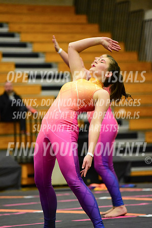 2019-WGI-Skyview-SherwoodHS-161