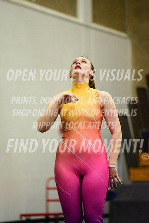2019-WGI-Skyview-SherwoodHS-171