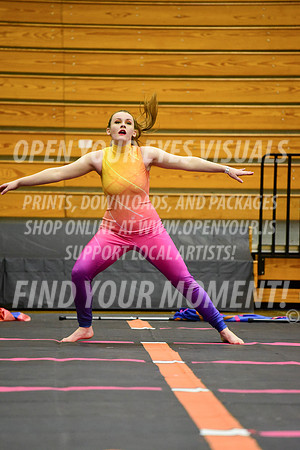 2019-WGI-Skyview-SherwoodHS-174
