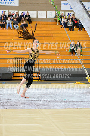2019-WGI-Skyview-SkyviewHS-002