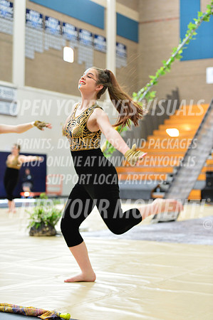 2019-WGI-Skyview-SkyviewHS-006