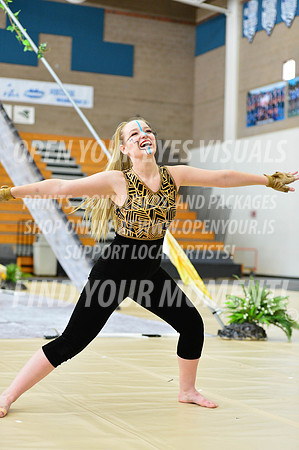 2019-WGI-Skyview-SkyviewHS-008
