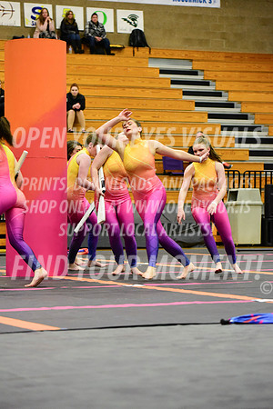 2019-WGI-Skyview-SherwoodHS-194