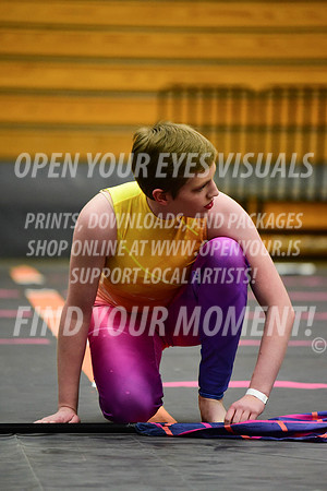 2019-WGI-Skyview-SherwoodHS-211