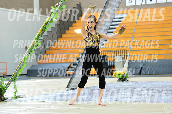 2019-WGI-Skyview-SkyviewHS-021