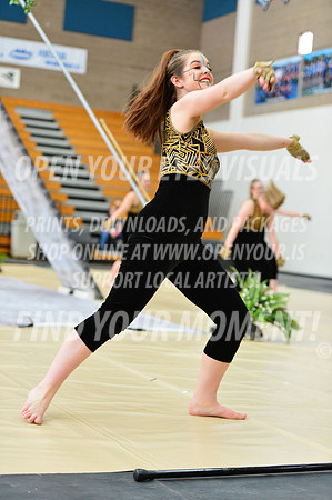 2019-WGI-Skyview-SkyviewHS-004