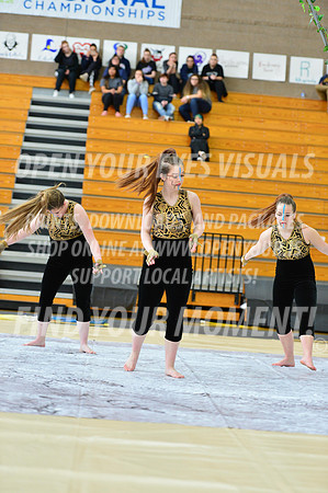 2019-WGI-Skyview-SkyviewHS-027