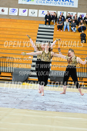 2019-WGI-Skyview-SkyviewHS-028
