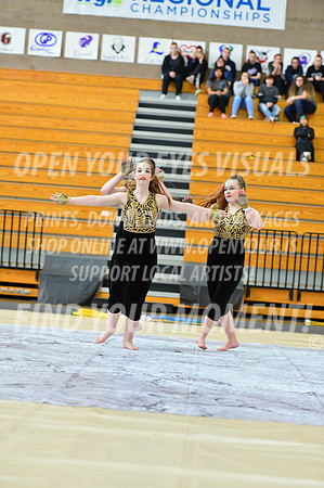 2019-WGI-Skyview-SkyviewHS-029