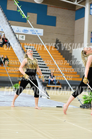 2019-WGI-Skyview-SkyviewHS-043