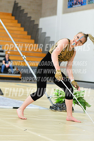 2019-WGI-Skyview-SkyviewHS-044