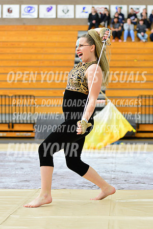 2019-WGI-Skyview-SkyviewHS-045