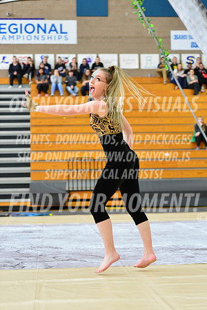 2019-WGI-Skyview-SkyviewHS-053