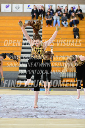 2019-WGI-Skyview-SkyviewHS-056