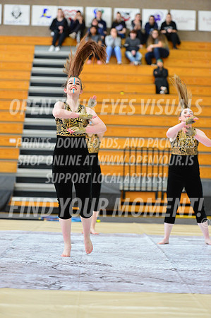 2019-WGI-Skyview-SkyviewHS-057