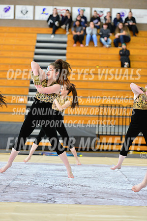 2019-WGI-Skyview-SkyviewHS-058