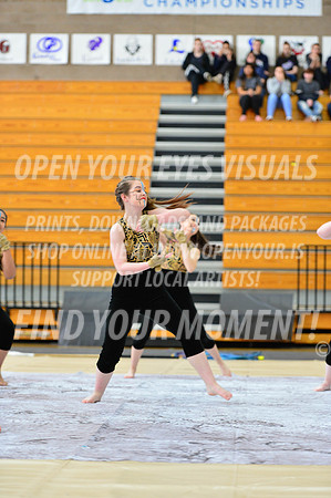 2019-WGI-Skyview-SkyviewHS-059