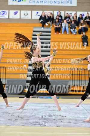 2019-WGI-Skyview-SkyviewHS-060