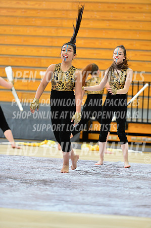 2019-WGI-Skyview-SkyviewHS-069