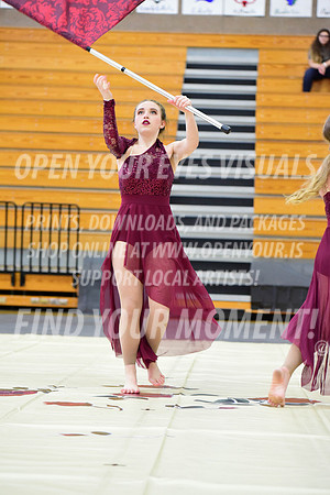 2019-WGI-Skyview-StHelens-113